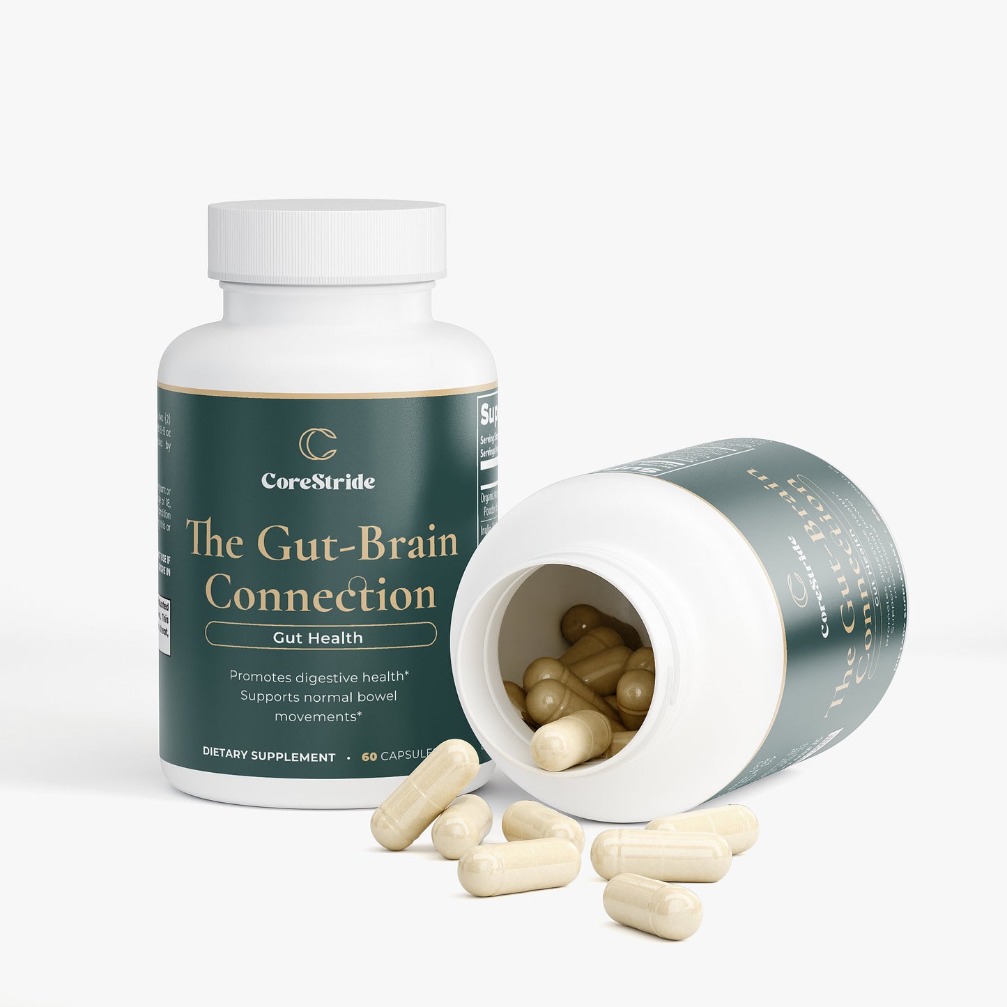 The Gut-Brain Connection