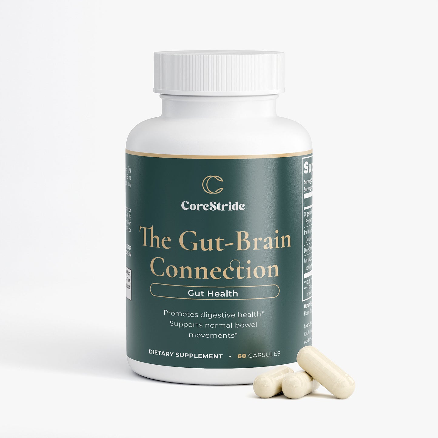 The Gut-Brain Connection