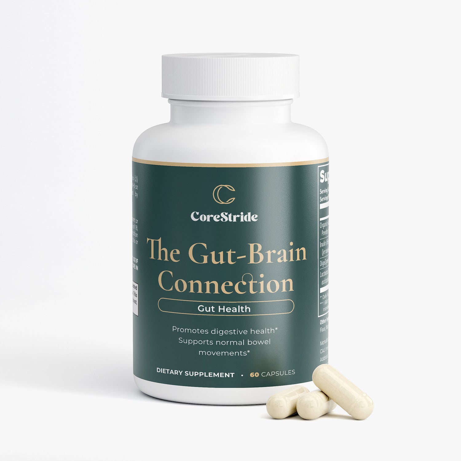 The Gut-Brain Connection