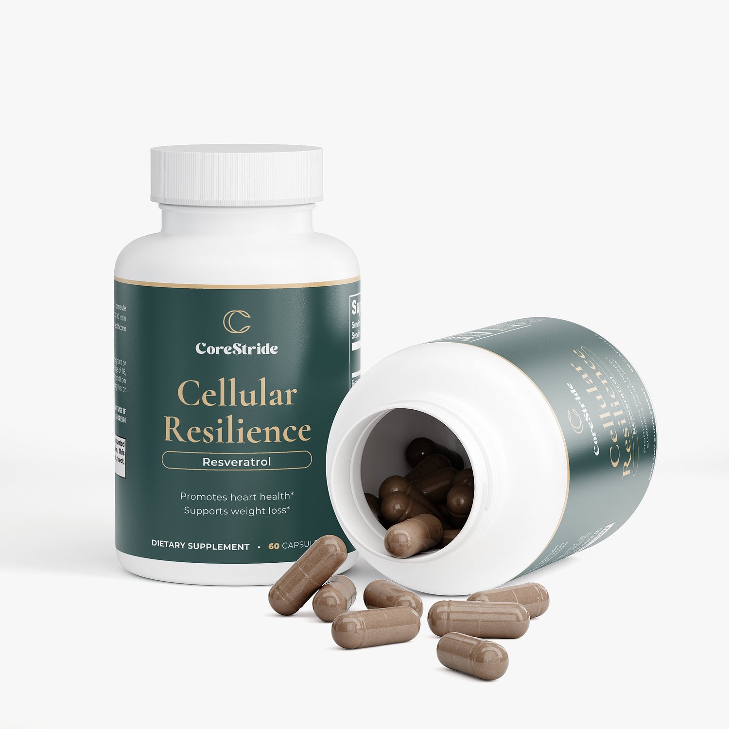 Cellular Resilience
