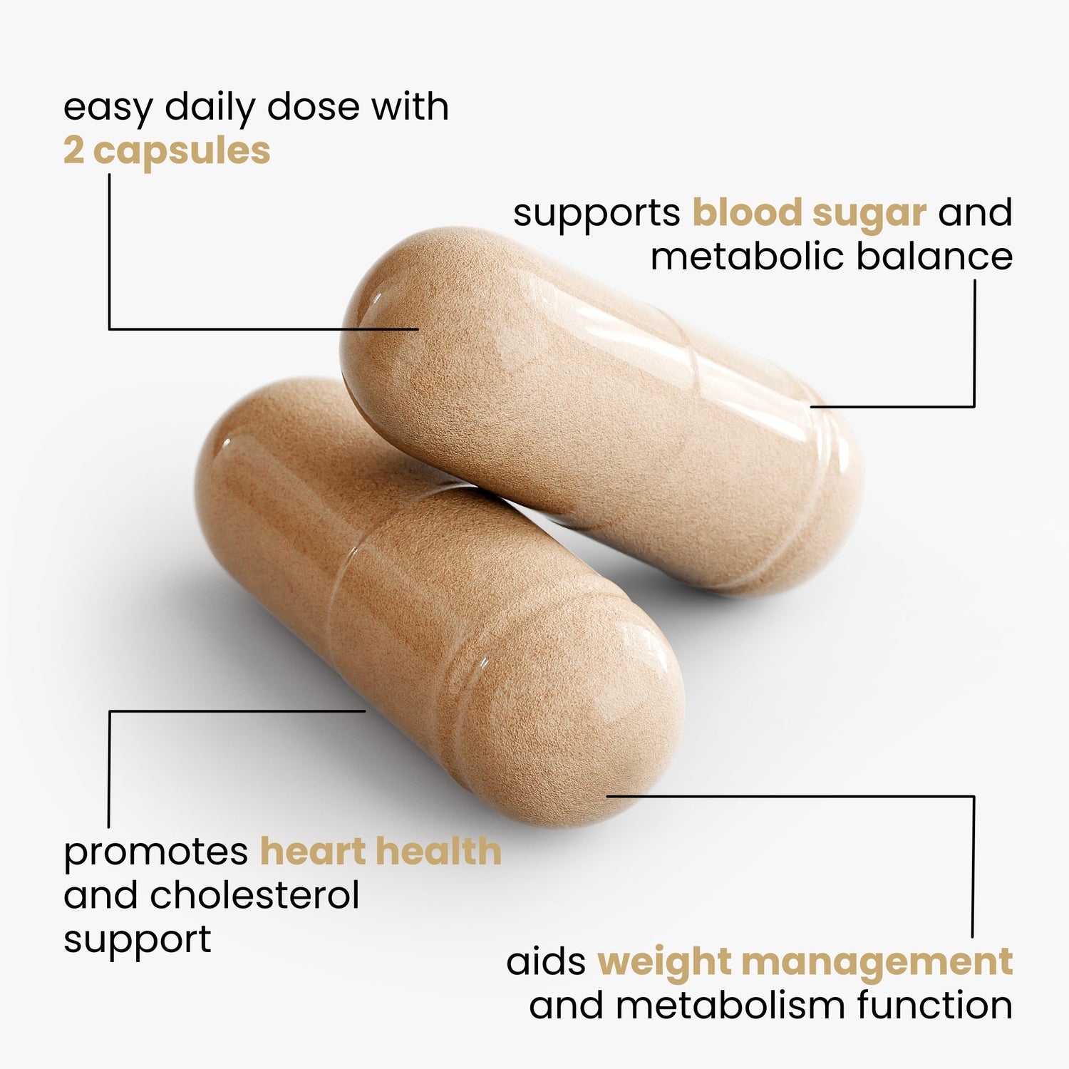 Metabolic Harmony