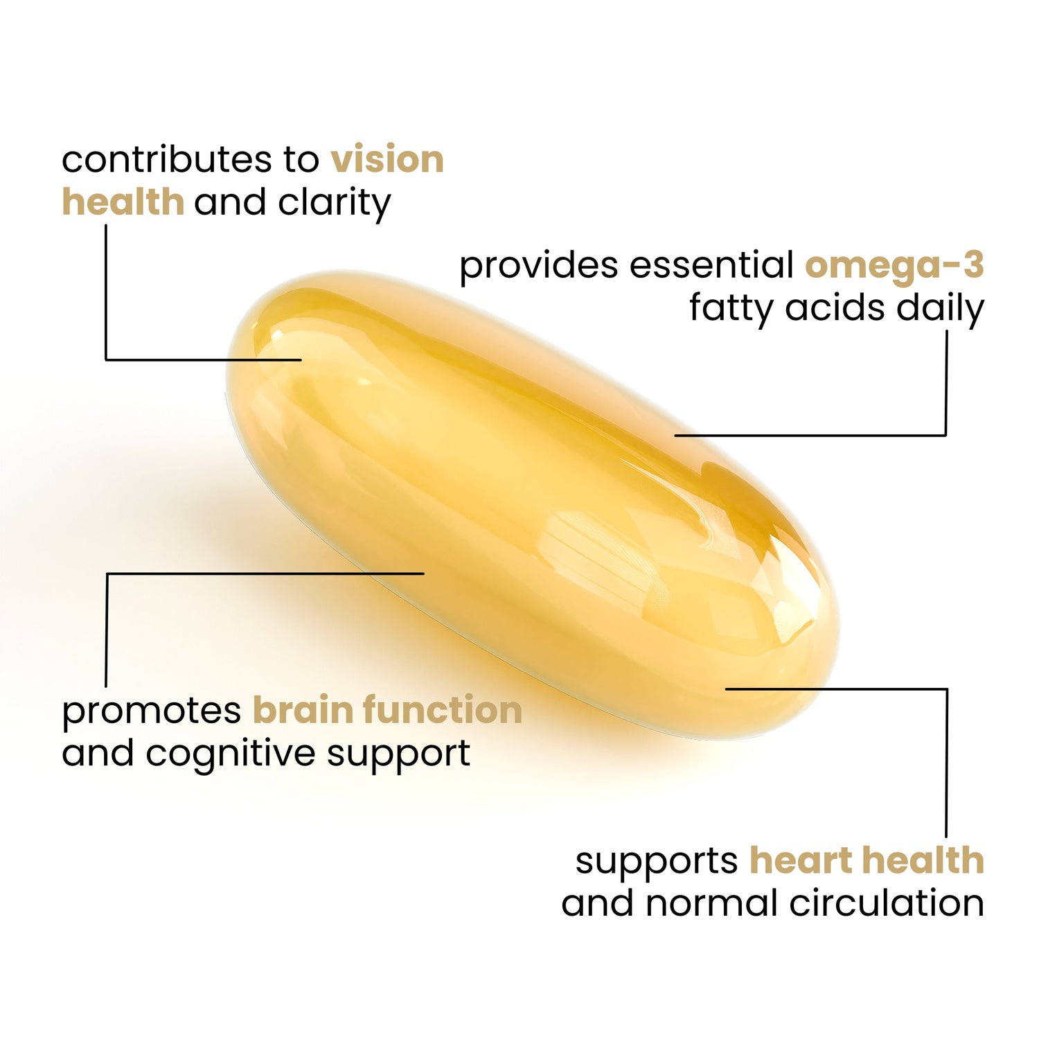 The Foundation