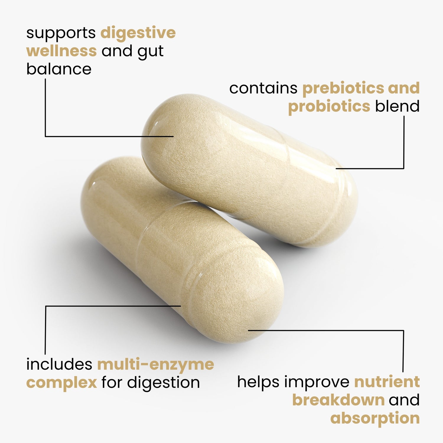 The Gut-Brain Connection
